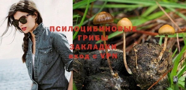 Альфа ПВП Алзамай