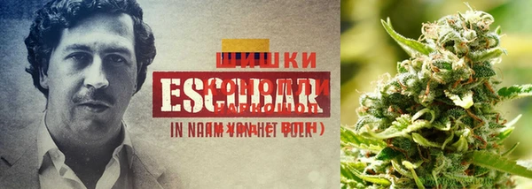 МДМА Алексеевка