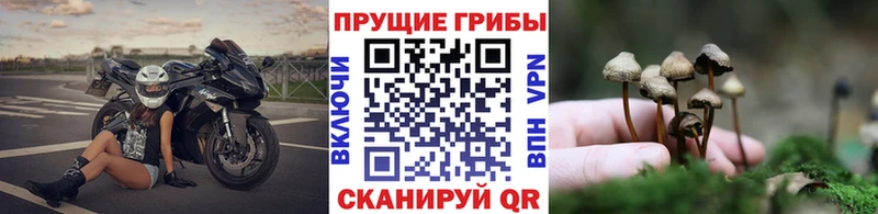 Псилоцибиновые грибы ЛСД  Дюртюли 